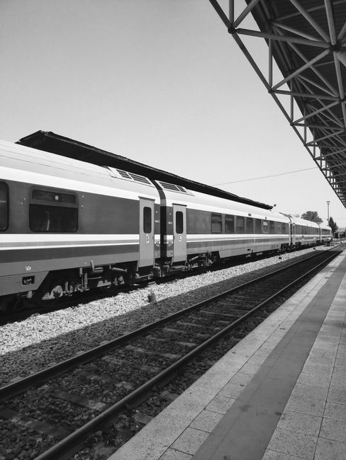 Tren Intercity blocat din cauza vegetației: pasagerii au așteptat peste o oră