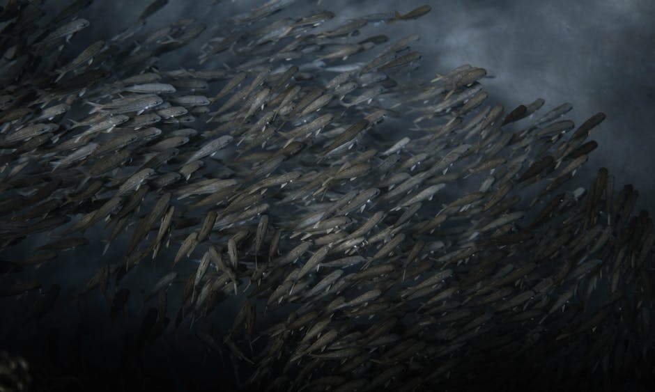 Descoperiri surprinzătoare în biodiversitatea din Săsar