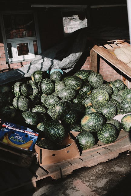 Pepeni românești din Olt, vedete pe rafturile Lidl și în străinătate