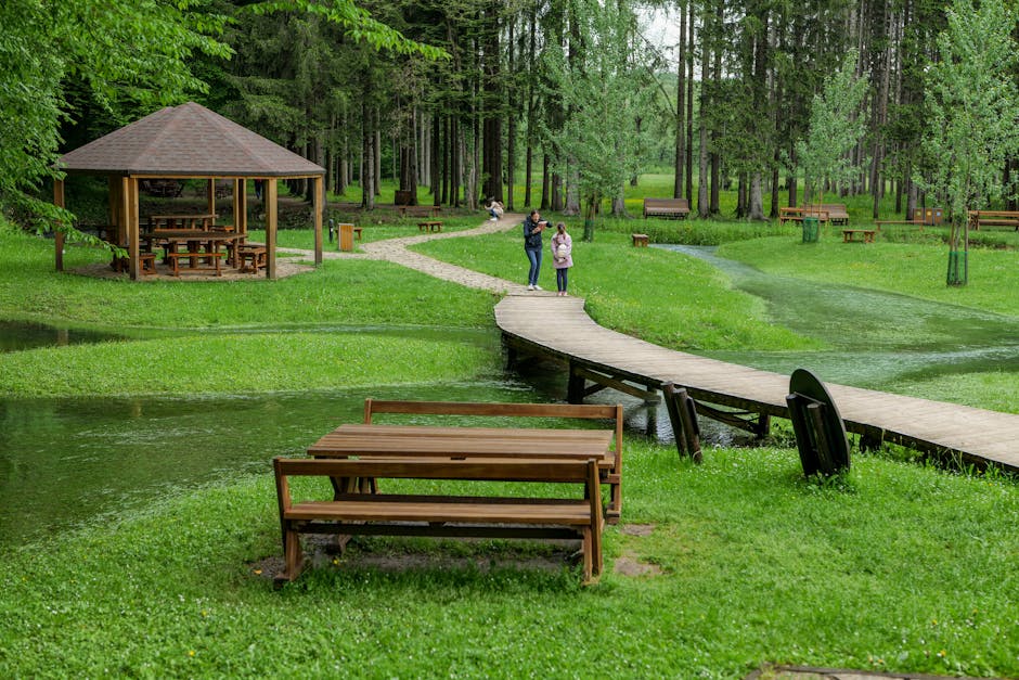 Firmele se bat pentru reabilitarea Parcului Băilor din Vatra Dornei