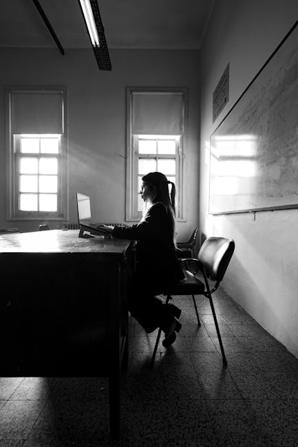 Profesorii vor beneficia de o primă de performanță în locul gradației de merit