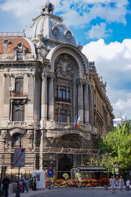 Bucureștean mușcat de șobolan primește 2.000 de euro despăgubiri