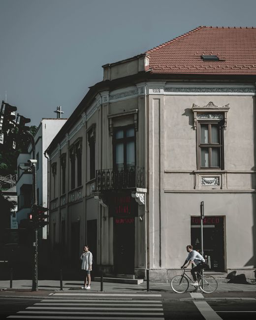 Un șarpe surprins traversând o stradă din Cluj: o întâlnire neașteptată