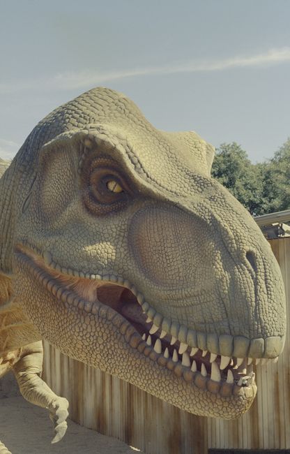 Sam Neill, legenda din Jurassic Park, a murit la 78 de ani