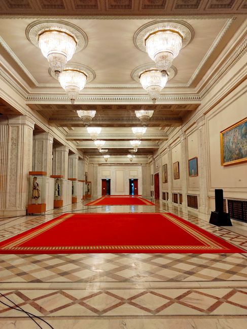 Mirabela Grădinaru și Nicușor Dan la Palatul Elysee: eleganță pe covorul roșu