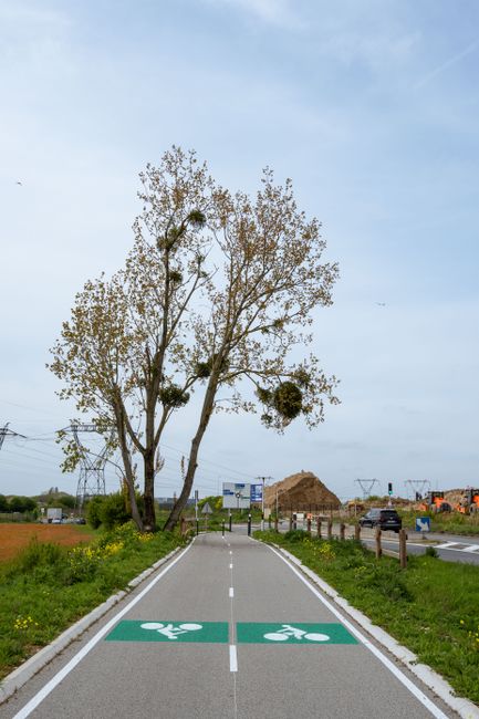 Satu Mare își extinde rețeaua de piste pentru biciclete: peste 9 km de noi trasee