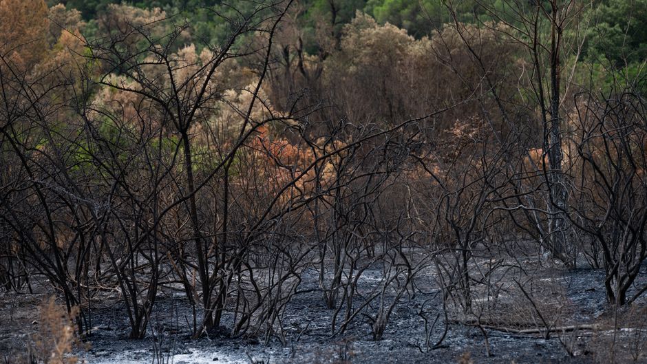 Identificarea victimelor incendiului din Spania: 13 persoane au fost confirmate