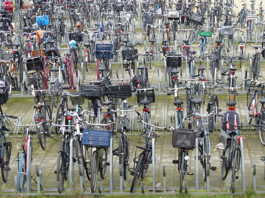Licitația pentru biciclete la CJ Timiș revine: o nouă oportunitate de achiziție