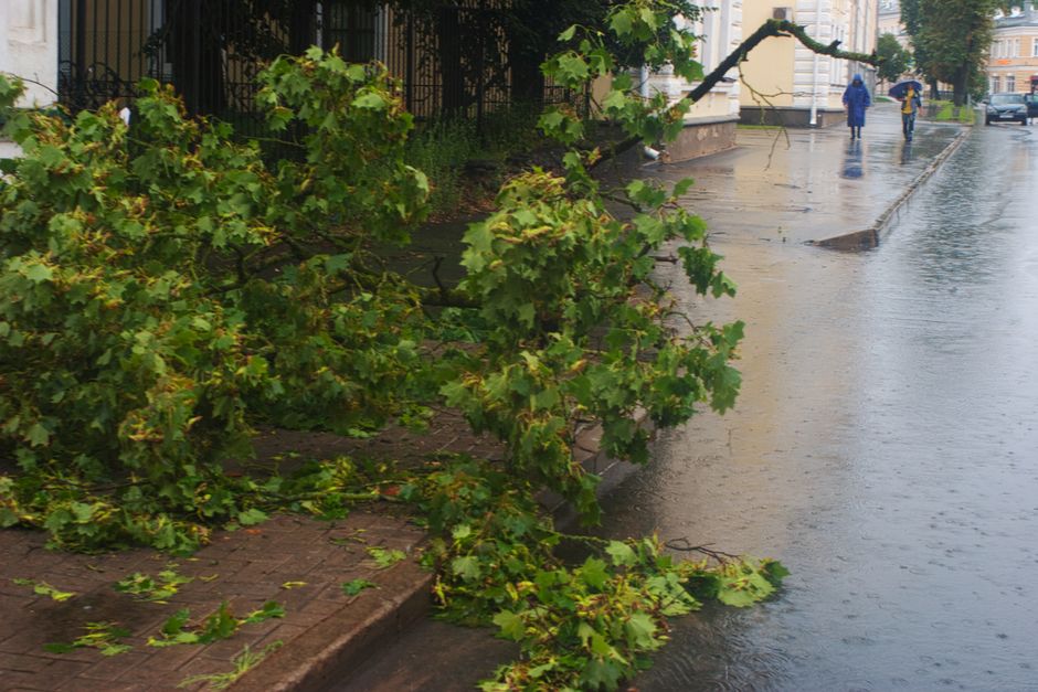Alertă în Ploiești: trotuarul de lângă Palatul Culturii riscă să se surpe complet