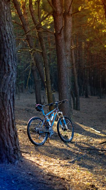 Adrenalină și reduceri: Weekend prelungit în Bike Park Postăvarul