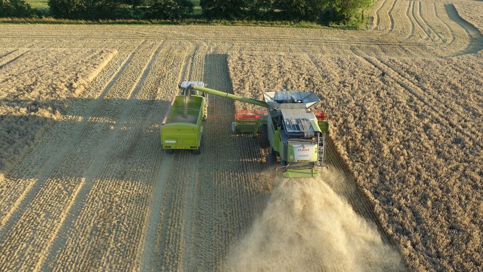 România, potențialul strategic în agroalimentar pentru Europa