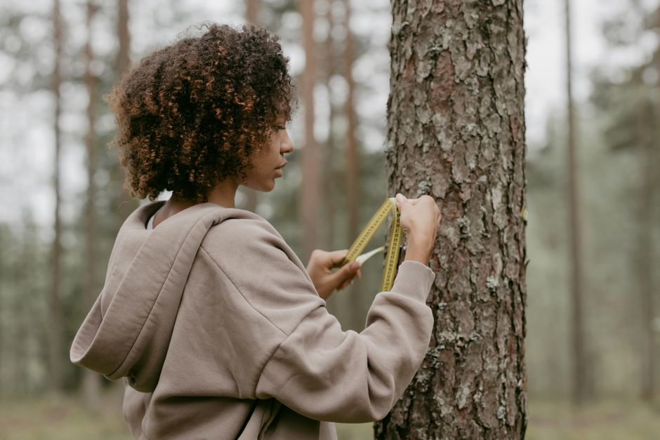 Trei eleve din Vatra Dornei câștigă un premiu internațional în domeniul ecologiei