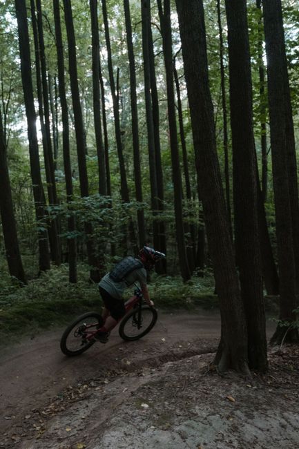 Alertă în Pădurea Dumbrava: cioburi periculoase pe traseele de biciclete