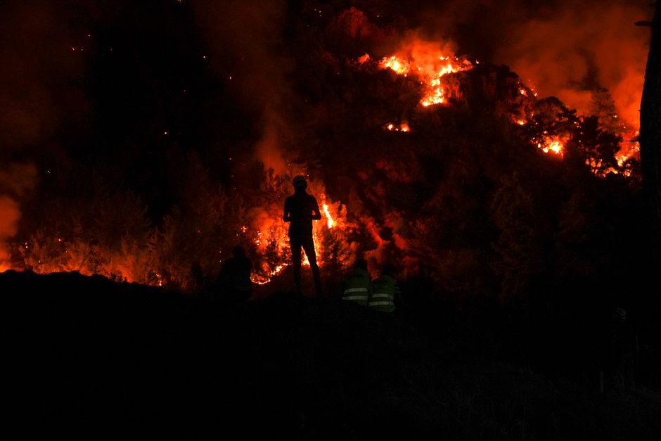 Trei tineri devin eroi locali în lupta cu incendiul de vegetație din Vrancea