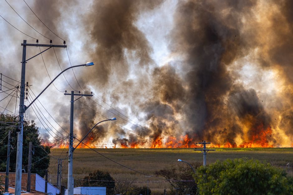 Incendiile de vegetație devastează Europa și Canada, provocând reacții internaționale