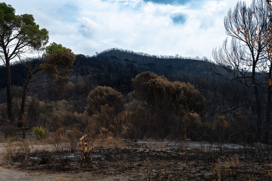 Incendii devastatoare în Spania: peste 28.000 de hectare distruse