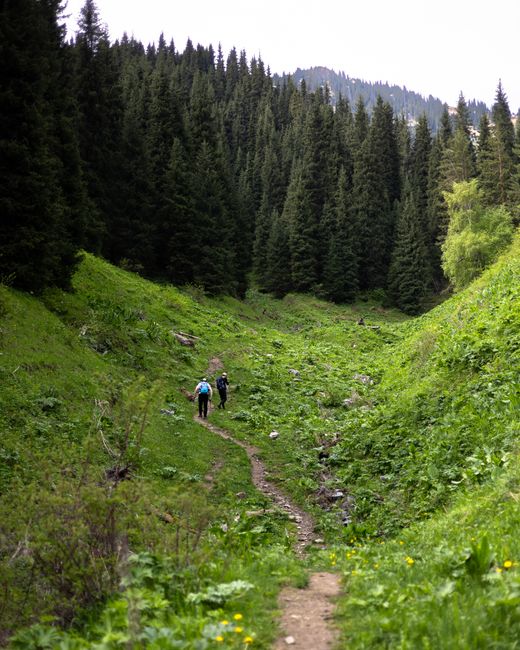 Descoperă Valea Jiului: o experiență unică în slow-tourism pe poteci istorice