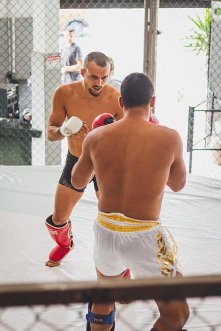 Conor McGregor: O călătorie de la vârf la absență în UFC
