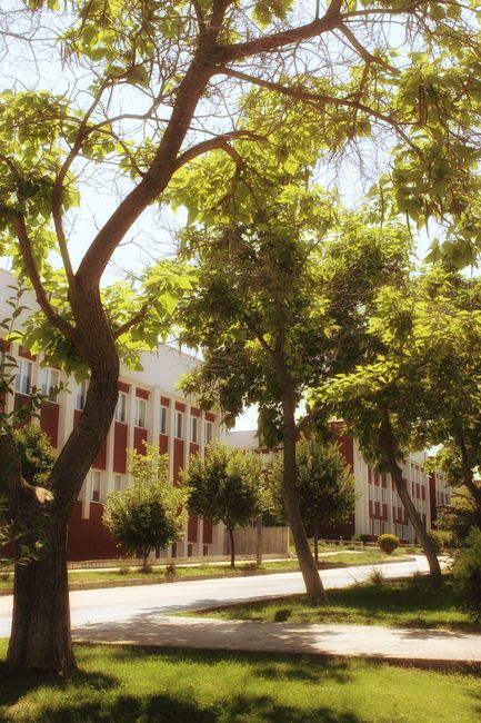 Bradu celebrează sfințirea unei troițe dedicate educației și valorilor comunității