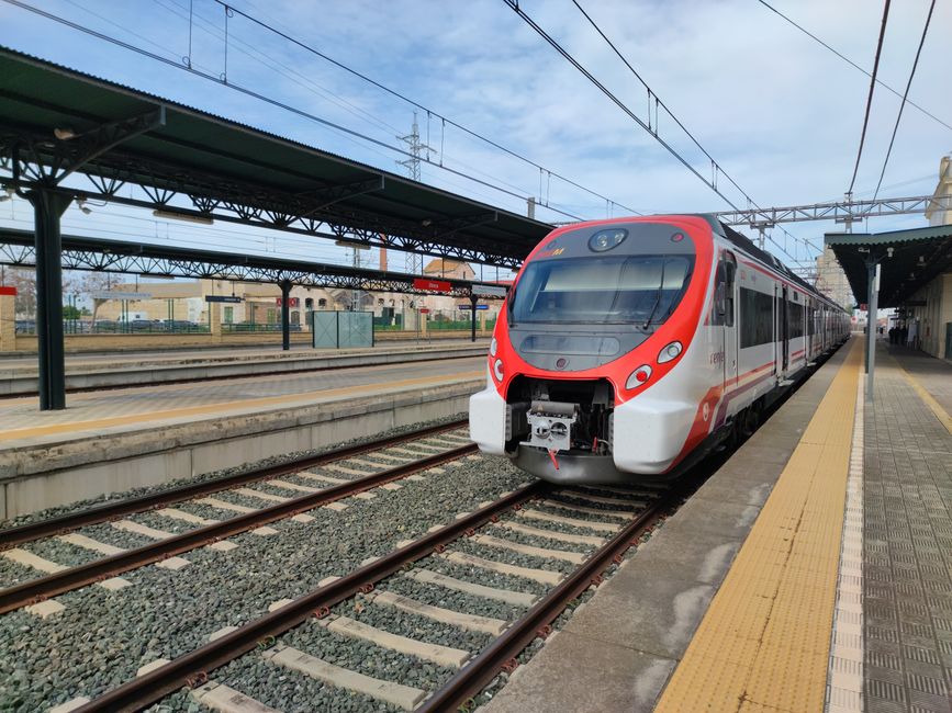 Întârzieri severe la trenuri între Movila și Fetești: ce trebuie să știți