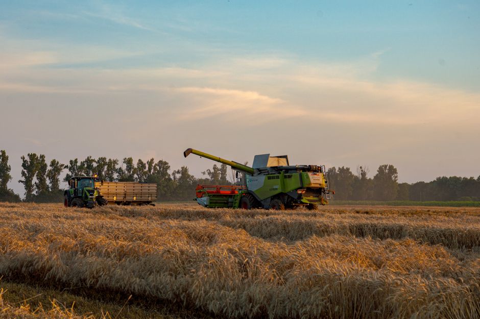 Oltenia beneficiază de condiții favorabile pentru agricultură în această vară