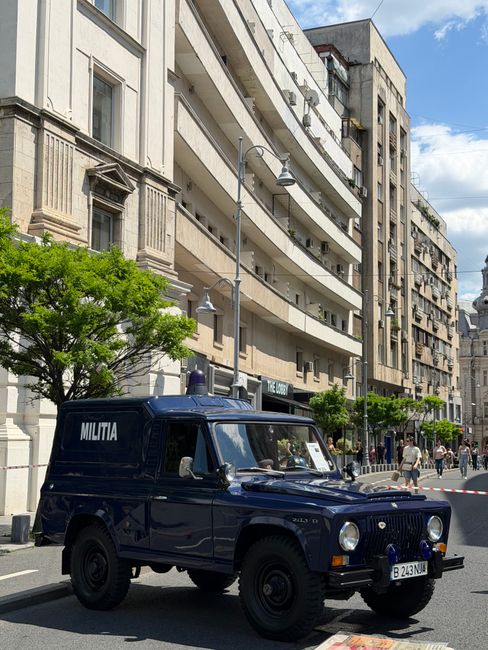Amendă record pentru un bărbat din Mălureni: lemne confiscate și sancțiuni severe