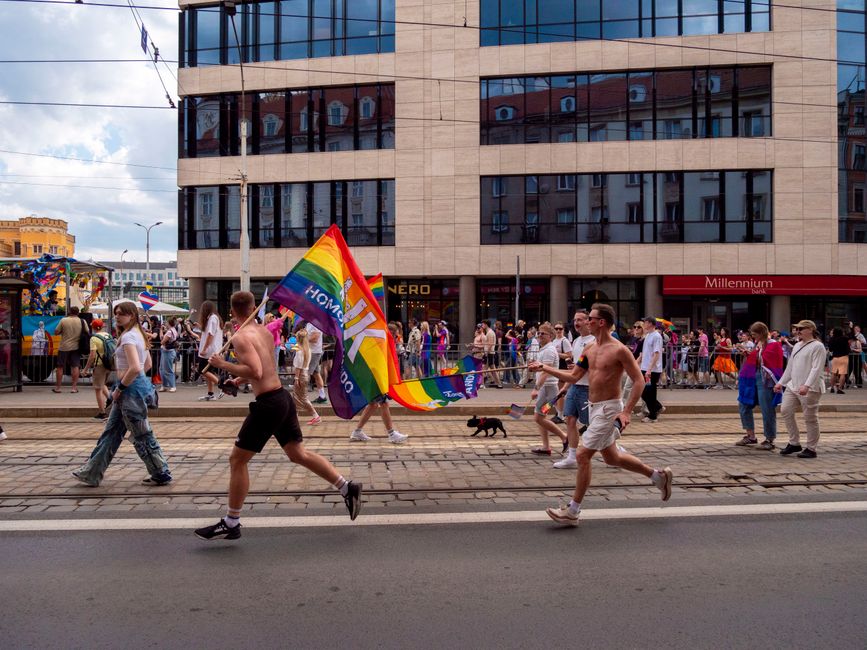 Primăria Oradea interzice din nou Marșul Oradea Pride: reacții din comunitate
