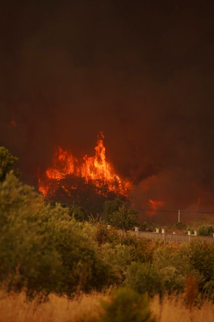Incendii devastatoare în Caraș-Severin: peste 400 de hectare afectate!
