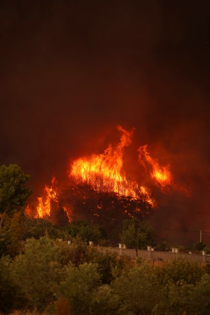 Incendiu devastator în Domogled: peste 420 de hectare afectate!