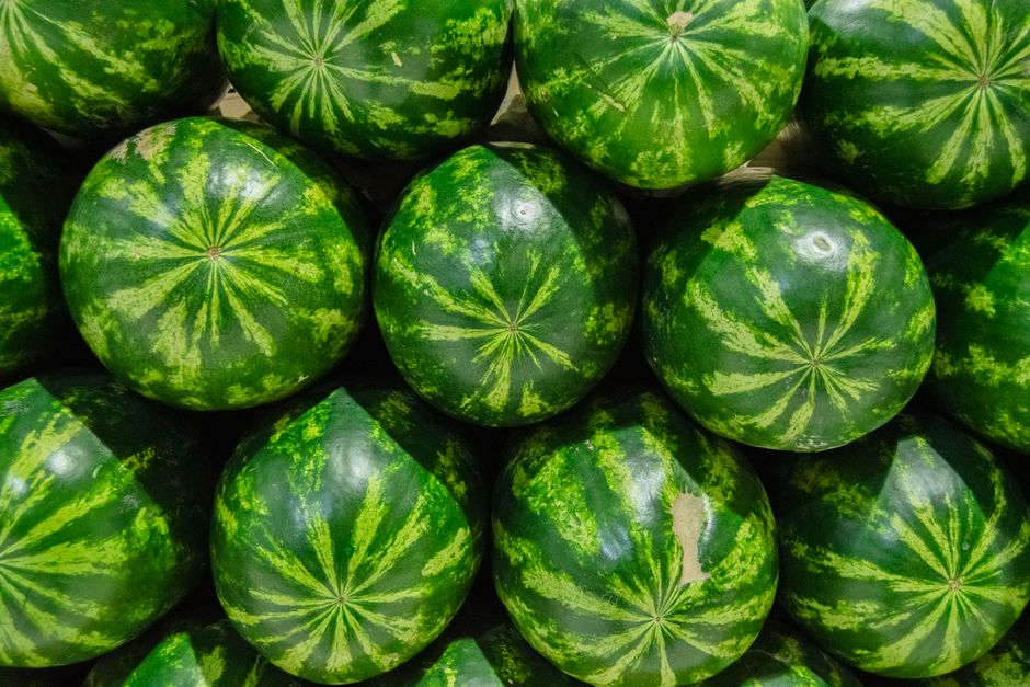 Descoperă cel mai gustos pepene din România, la preț accesibil!