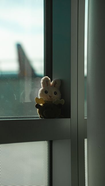 Atenție părinți: jucăriile squishy pot fi confiscate la aeroport