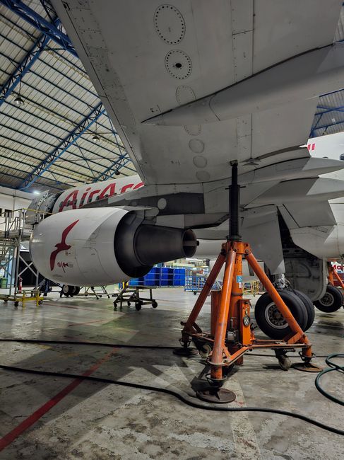 Dedalus Tech răspunde acuzațiilor DAN AIR: adevărul din spatele disputei