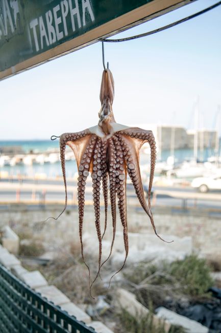 Cum să comanzi pește proaspăt în Grecia fără să fii păcălit: ghid util pentru turiști
