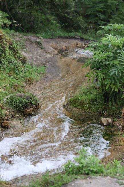 Descoperă frumusețea naturii în Parcul Natural Grădiștea Muncelului-Cioclovina