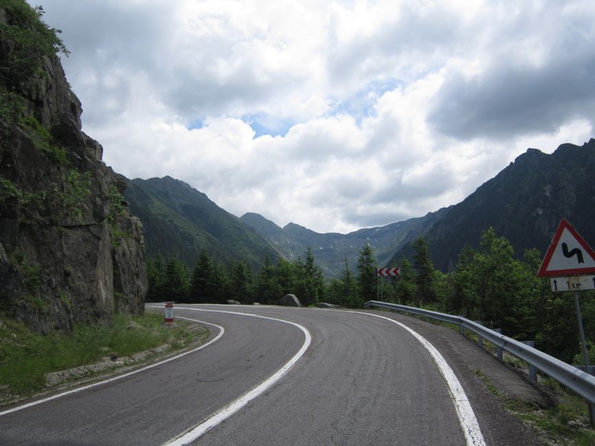 Întâlnire neașteptată cu un urs pe Transfăgărășan: un finalist Survivor devine erou