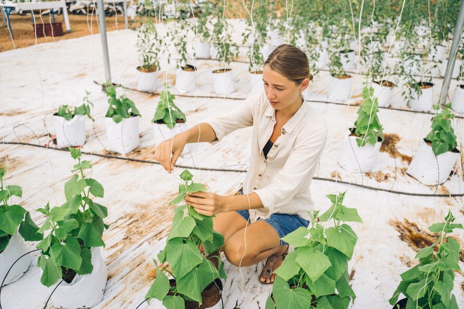 Cum o tânără antreprenoare din Olt transformă agricultura românească