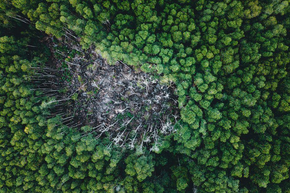 Omenirea a atins limita resurselor naturale: ce înseamnă acest lucru pentru viitor?