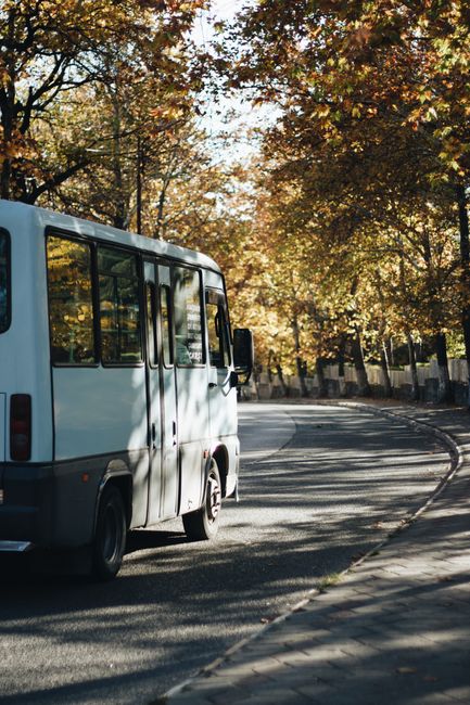 Modificări importante în transportul public pe Aleea Pădurea Verde