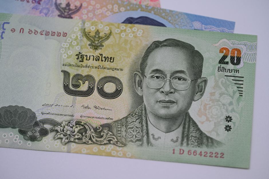 Descoperire șocantă: o femeie din Thailanda găsește termite în seiful cu 26.000 de euro