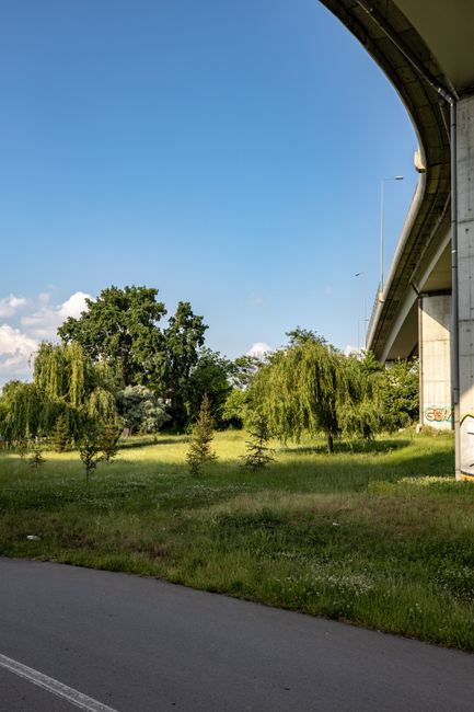 Ploiești: Spațiul verde de pe Bulevardul Castanilor, afectat de activitățile primăriei