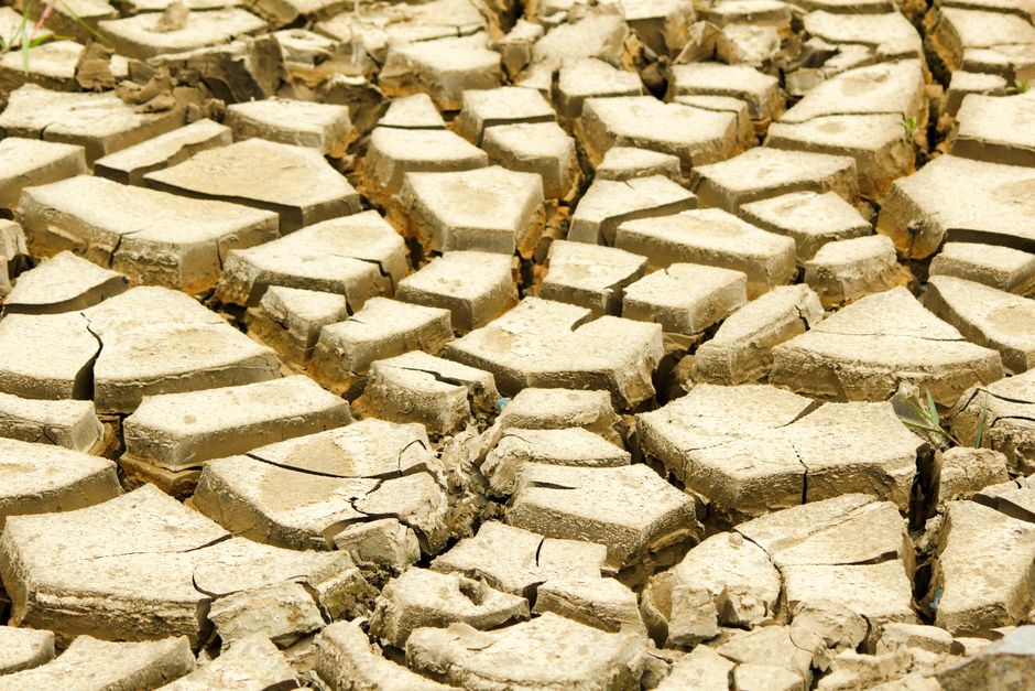 Căldura extremă lovește România: zone afectate și măsuri de restricție