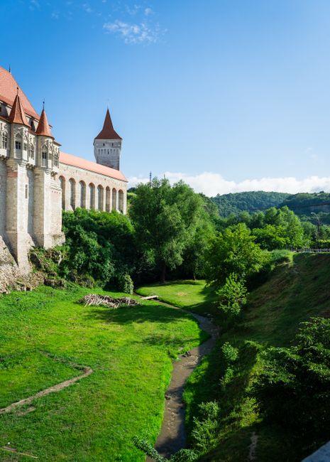 Descoperă arta unică: expoziția „Coffee Stories” la Castelul Corvinilor