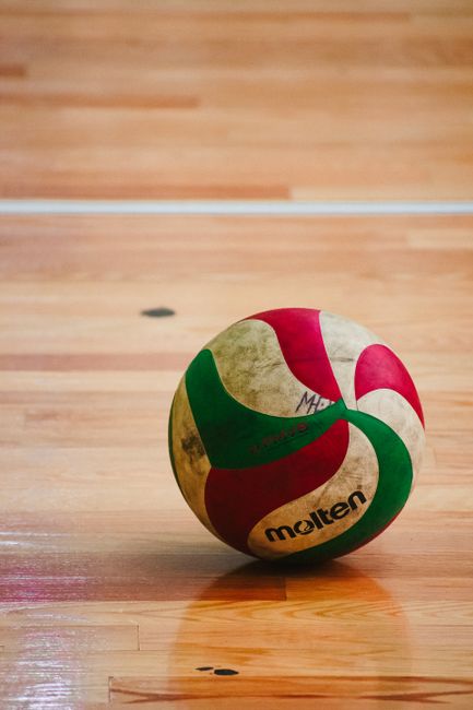 Sportivii din Brașov strălucesc pe scena internațională în volei și handbal