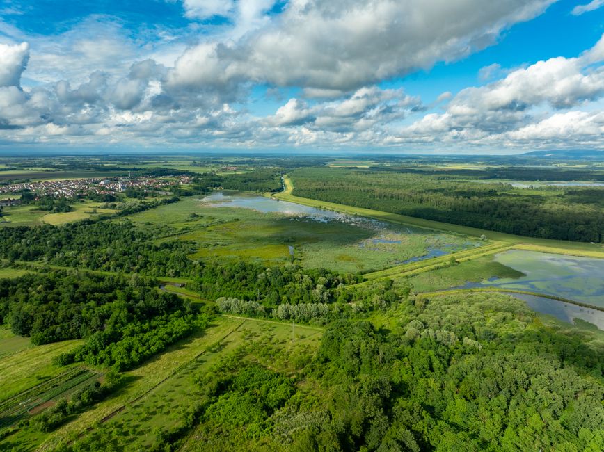 Controversele dintre USR și PSD asupra strategiei de biodiversitate și impactul asupra fondurilor europene