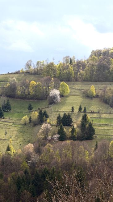 Comunitatea din Mihălceni în doliu după pierderea lui Auraș Tudorancea