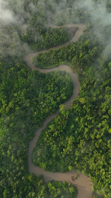 Legea biodiversității revine în discuție la Senat după modificări recente