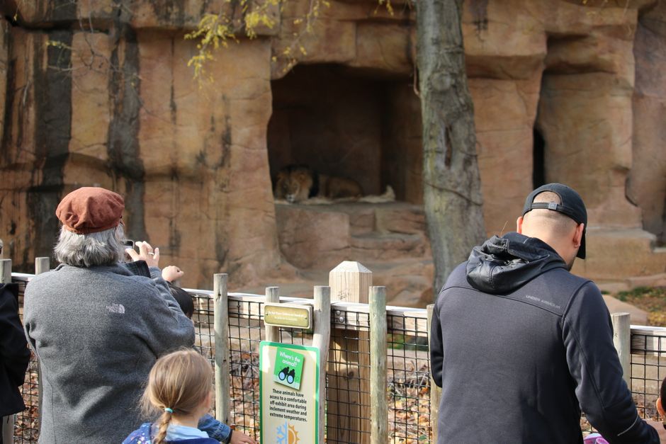 Weekend de neuitat la Zoo Brașov: Activități educative și intrare gratuită pentru copii!