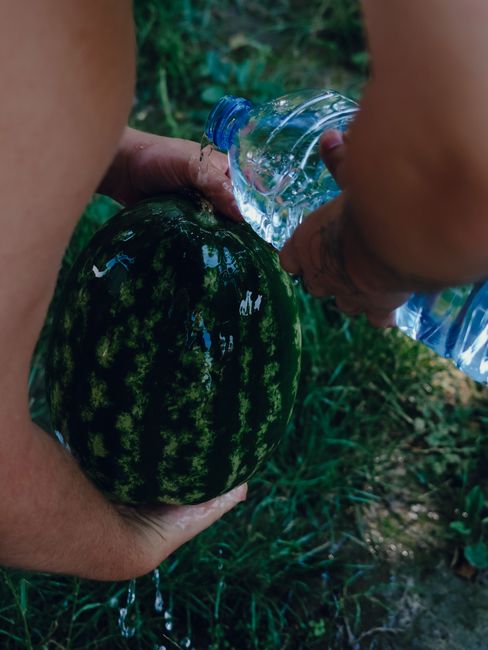 Ghidul alimentației sănătoase pe timpul caniculei: ce să consumi