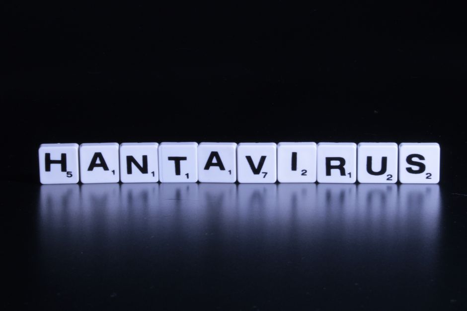Hantavirus: Ce trebuie să știi despre riscuri și protecție