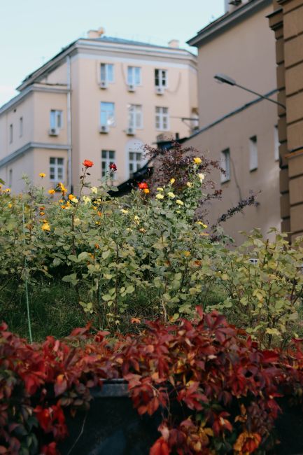 Descoperă MRS Residence Grădinile: un ecosistem vibrant pentru fiecare anotimp